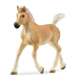 Schleich Haflinger Foal