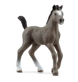 Schleich Cheval de Selle Francais Foal