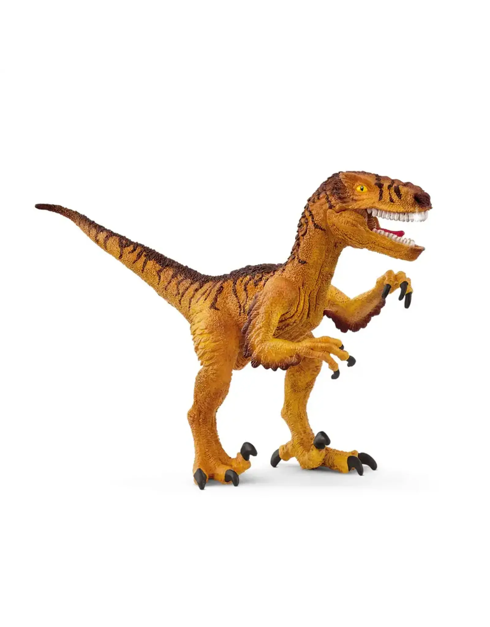 Schleich Velociraptor