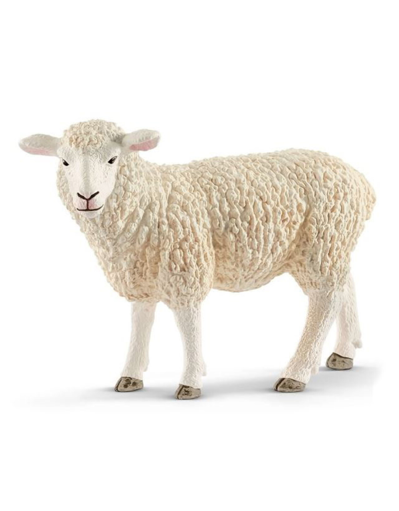 Schleich Sheep