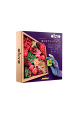 Fainotoys OKTO Woodcraft Succulents Passion Fainotoys OKTO Woodcraft Succulents Passion