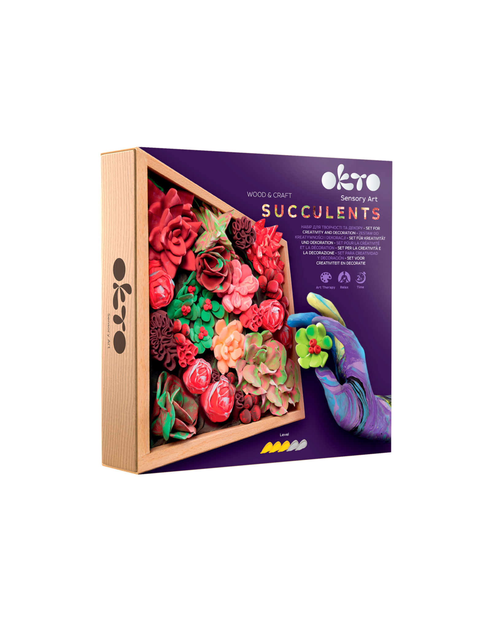 Fainotoys OKTO Woodcraft Succulents Passion