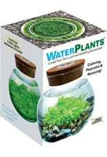 Silver Circle Products WaterPlants Create Your Own Aquascape