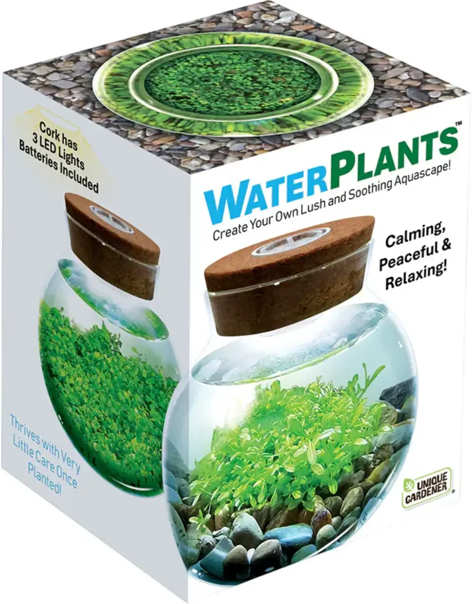 Silver Circle Products WaterPlants Create Your Own Aquascape