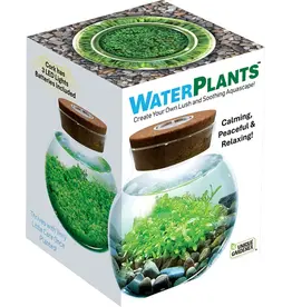 Zibber's WaterPlants Create Your Own Aquascape