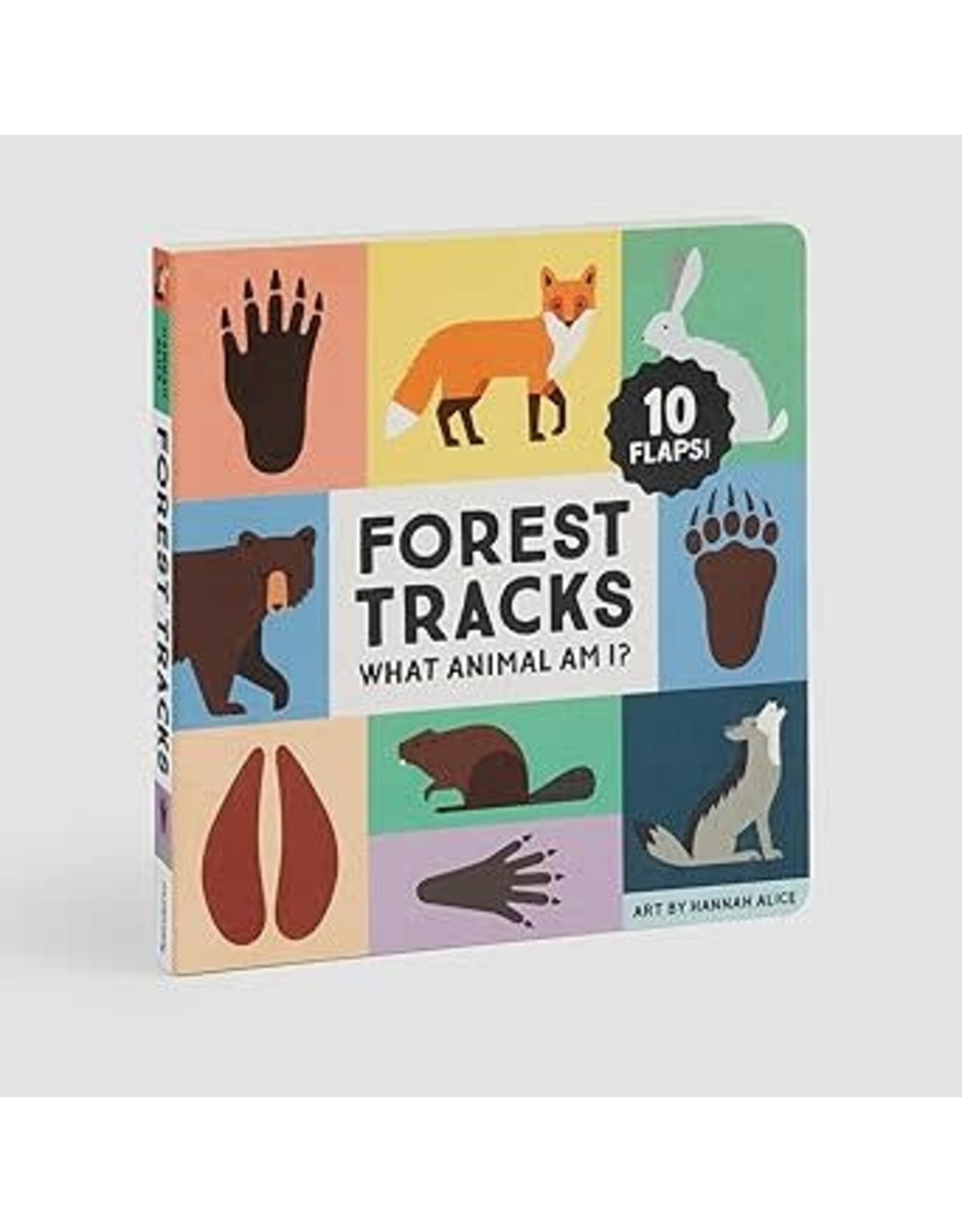 Raincoast Books Forest Tracks: What Animal Am I? Lift-the-Flap Board Book