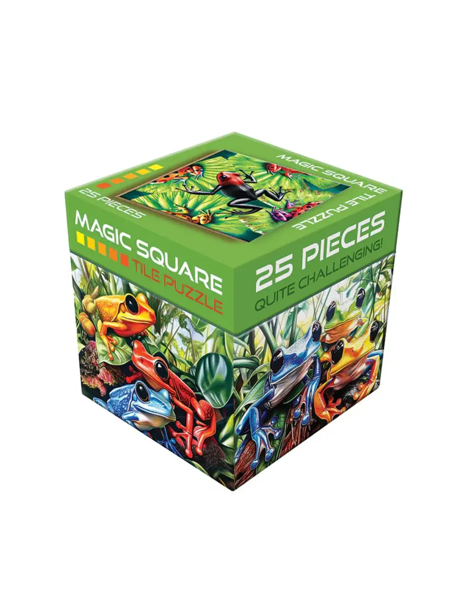 Outset Media Magic Square Puzzle Frogs
