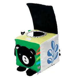 Manhattan Toy Wimmer Discovery Cube