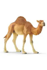 Schleich Dromedary