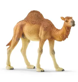 Schleich Dromedary
