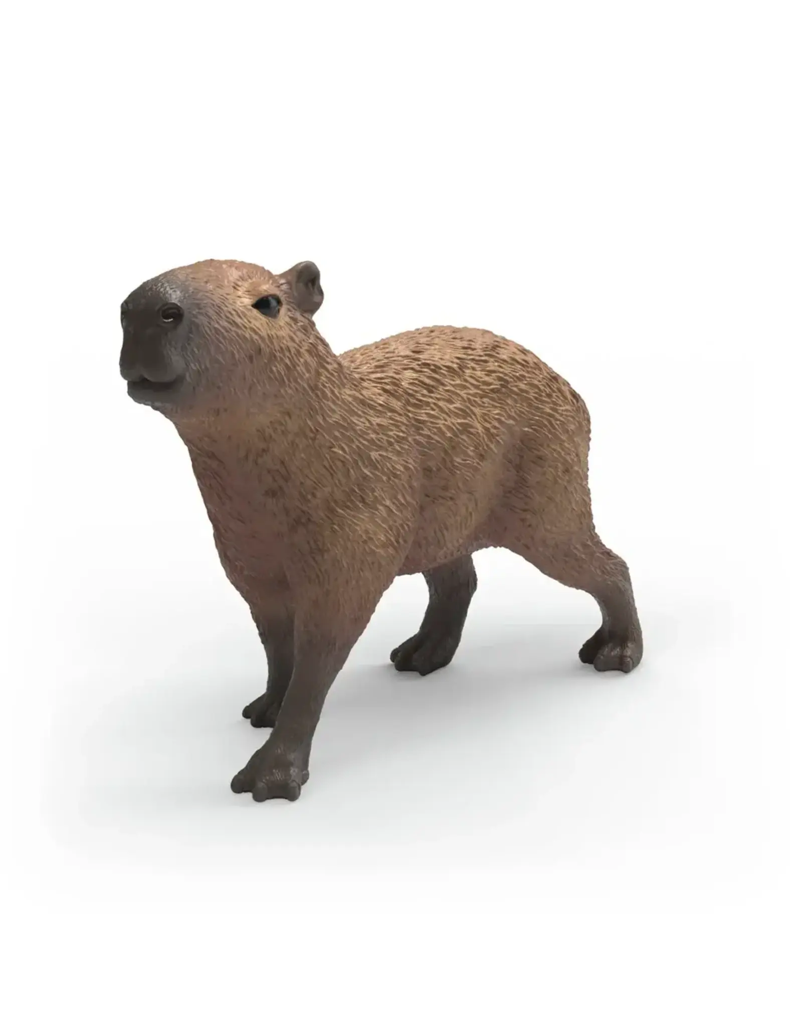 Schleich Capybara