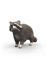 Schleich Raccoon