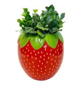 STREAMLINE Strawberry Planter