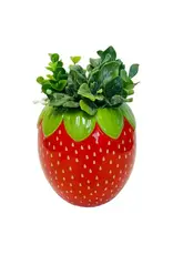 STREAMLINE Strawberry Planter