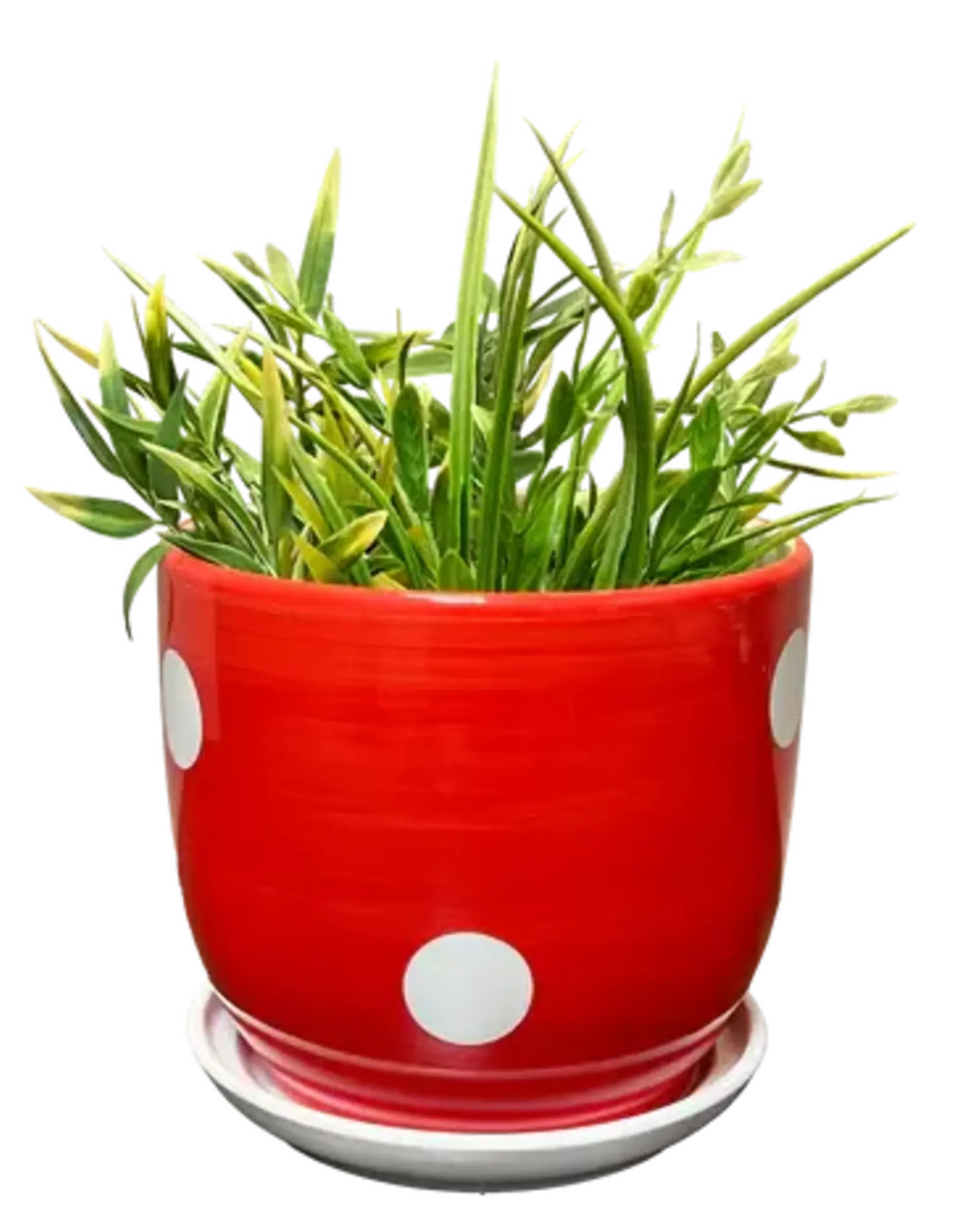 STREAMLINE Spotted Mushroom Planter