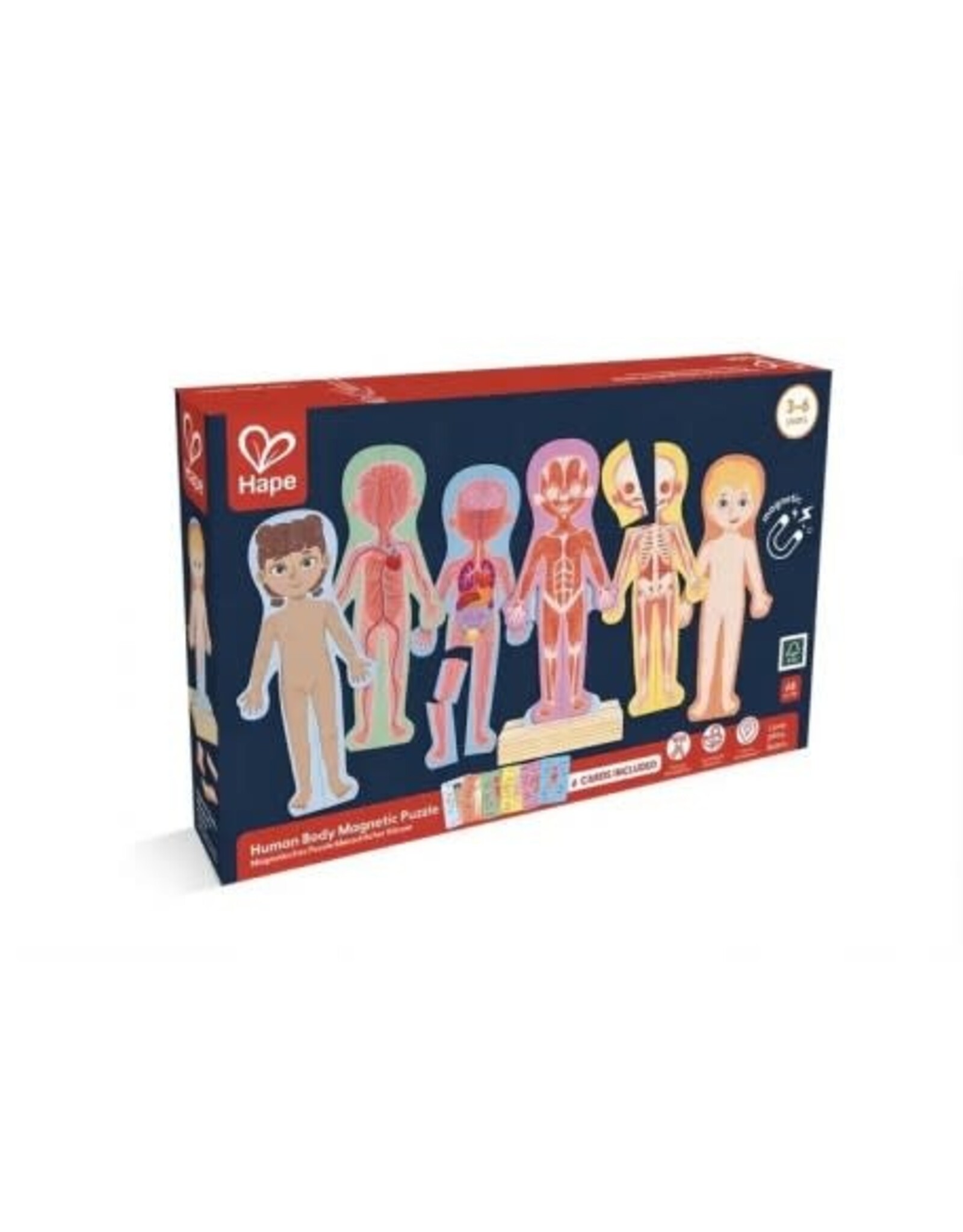 Hape Human Body Magnetic Puzzle
