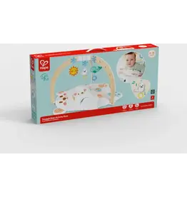 Hape Snuggle Bear Activity Gym