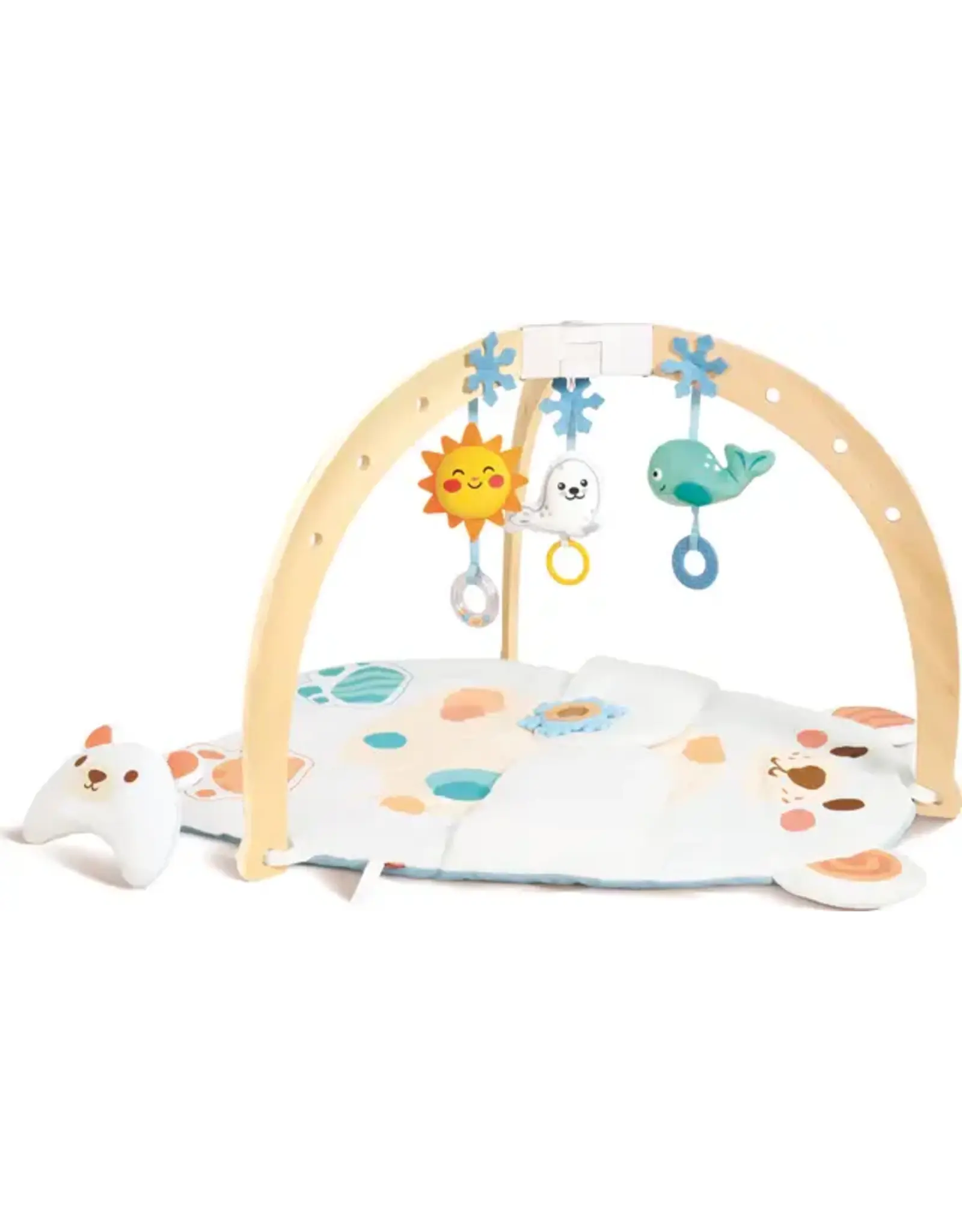 Hape Snuggle Bear Activity Gym