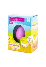 Keycraft Small Chick Hatching Eggs