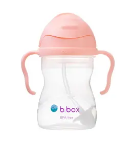 Bbox Sippy Straw Cup 240ml - Tutti Frutti
