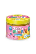 Creativity For Kids Sensory Minis Capybara