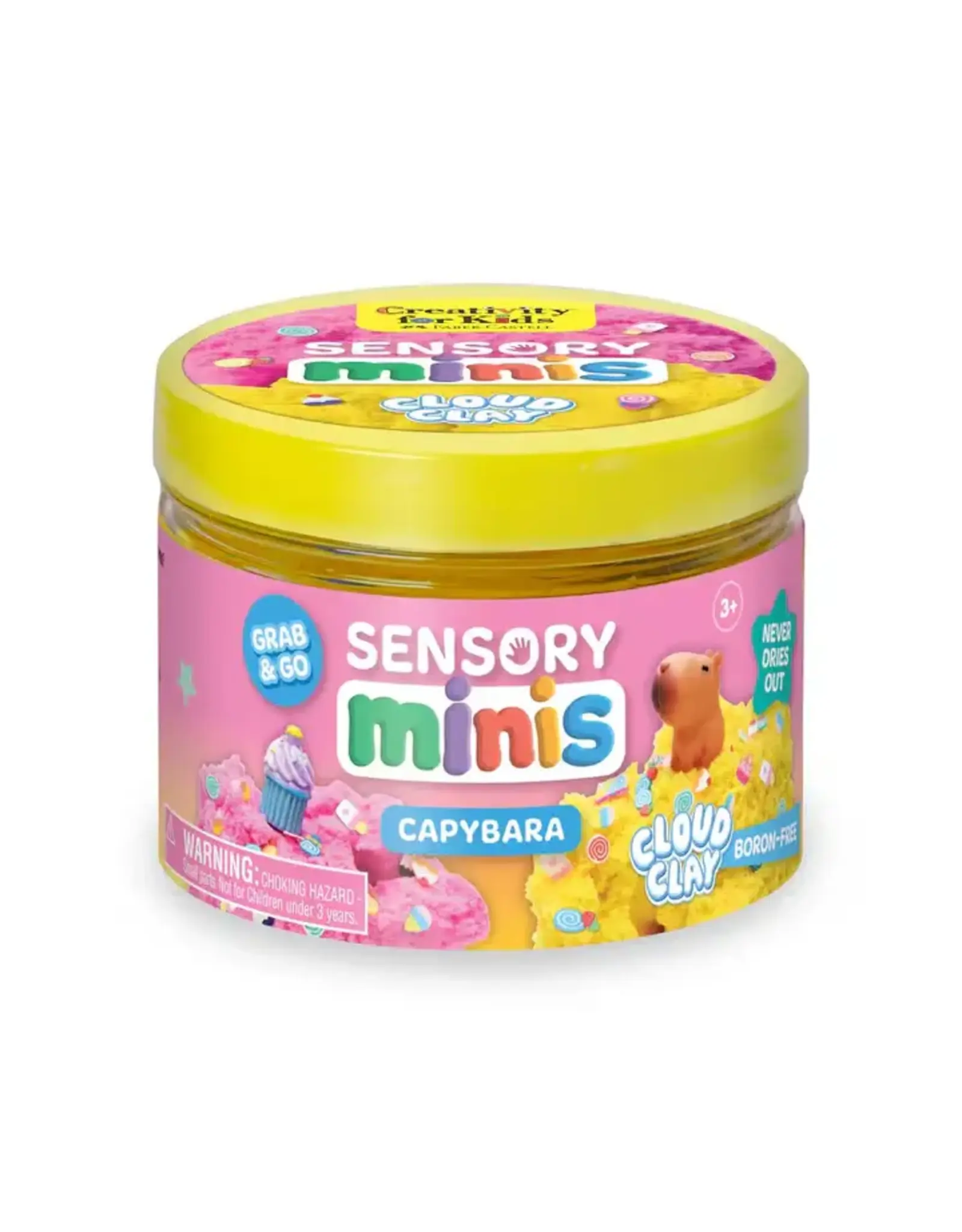 Creativity For Kids Sensory Minis Capybara