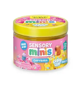 Creativity For Kids Sensory Minis Capybara