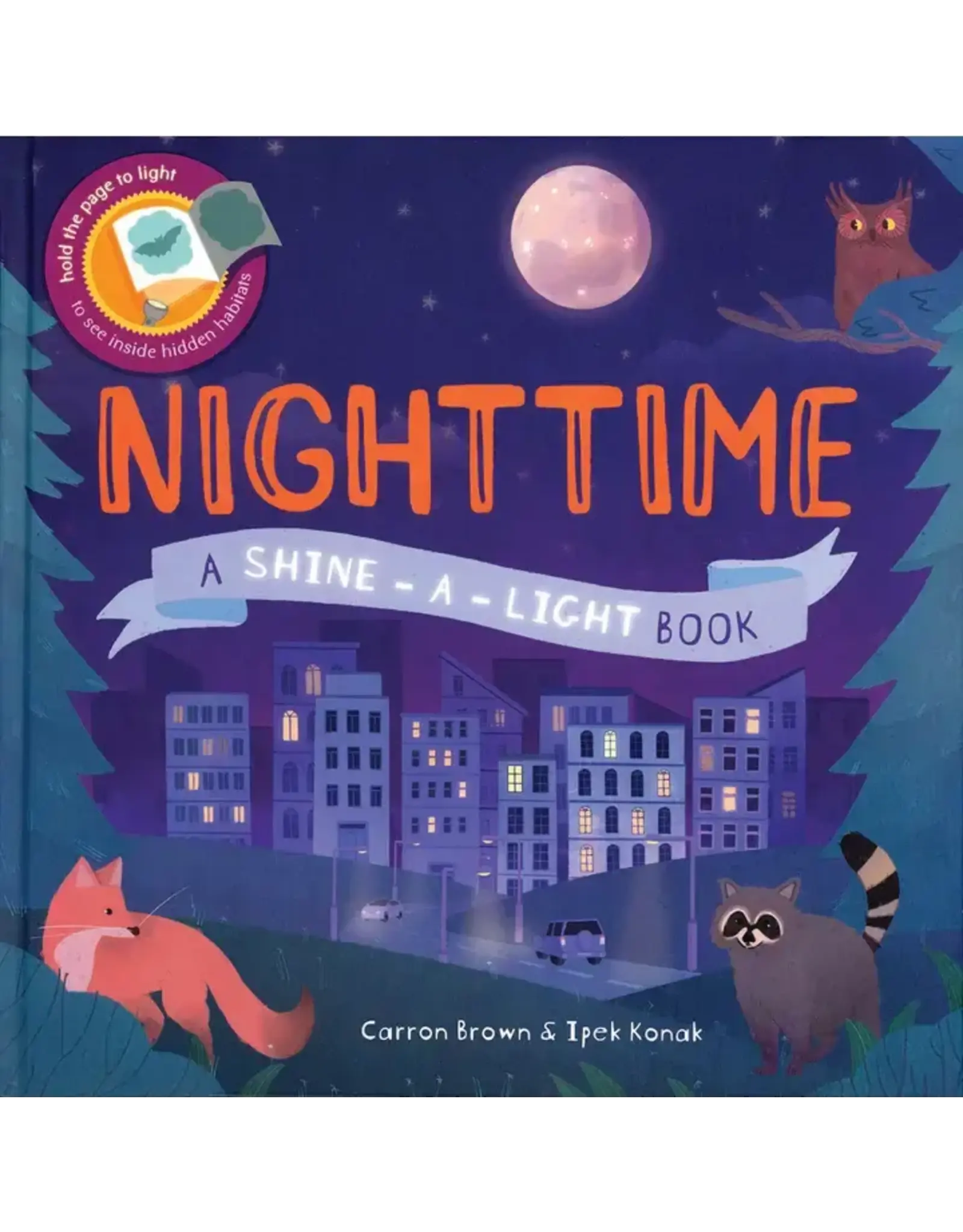 EDC Publishing Shine A Light Nighttime