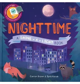 EDC Publishing Shine A Light Nighttime