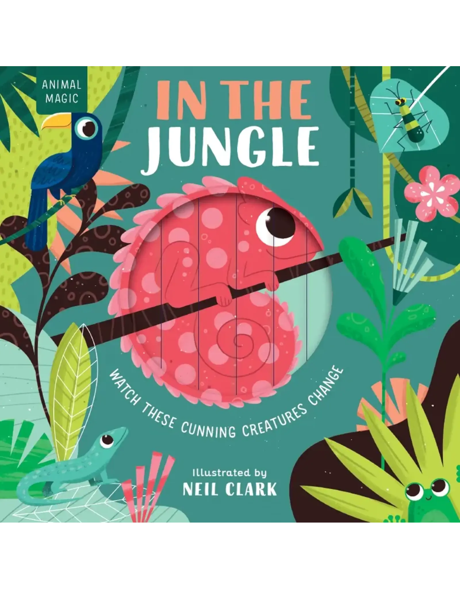 EDC Publishing Magic Window In the Jungle