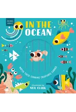 EDC Publishing Magic Window In the Ocean