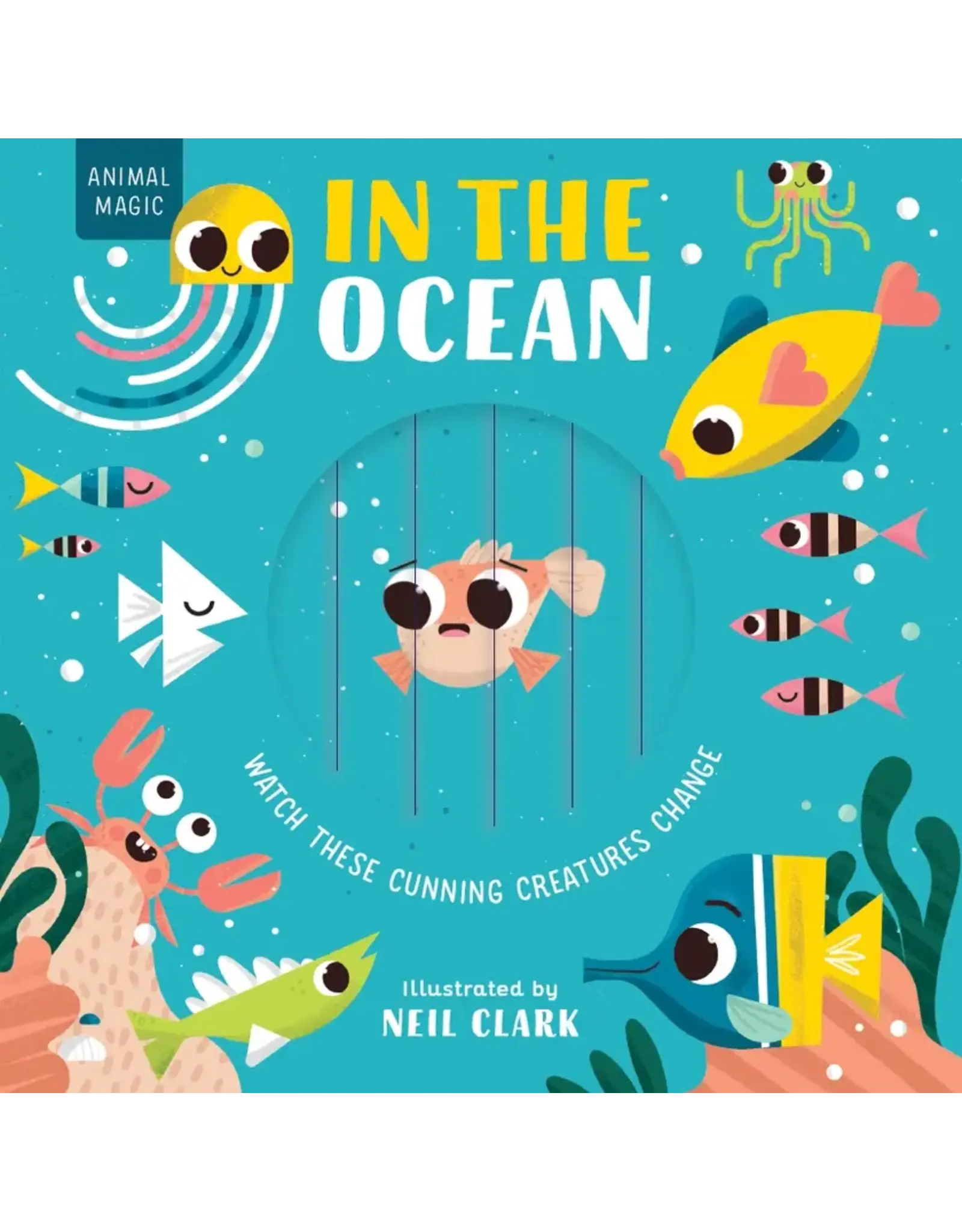 EDC Publishing Magic Window In the Ocean