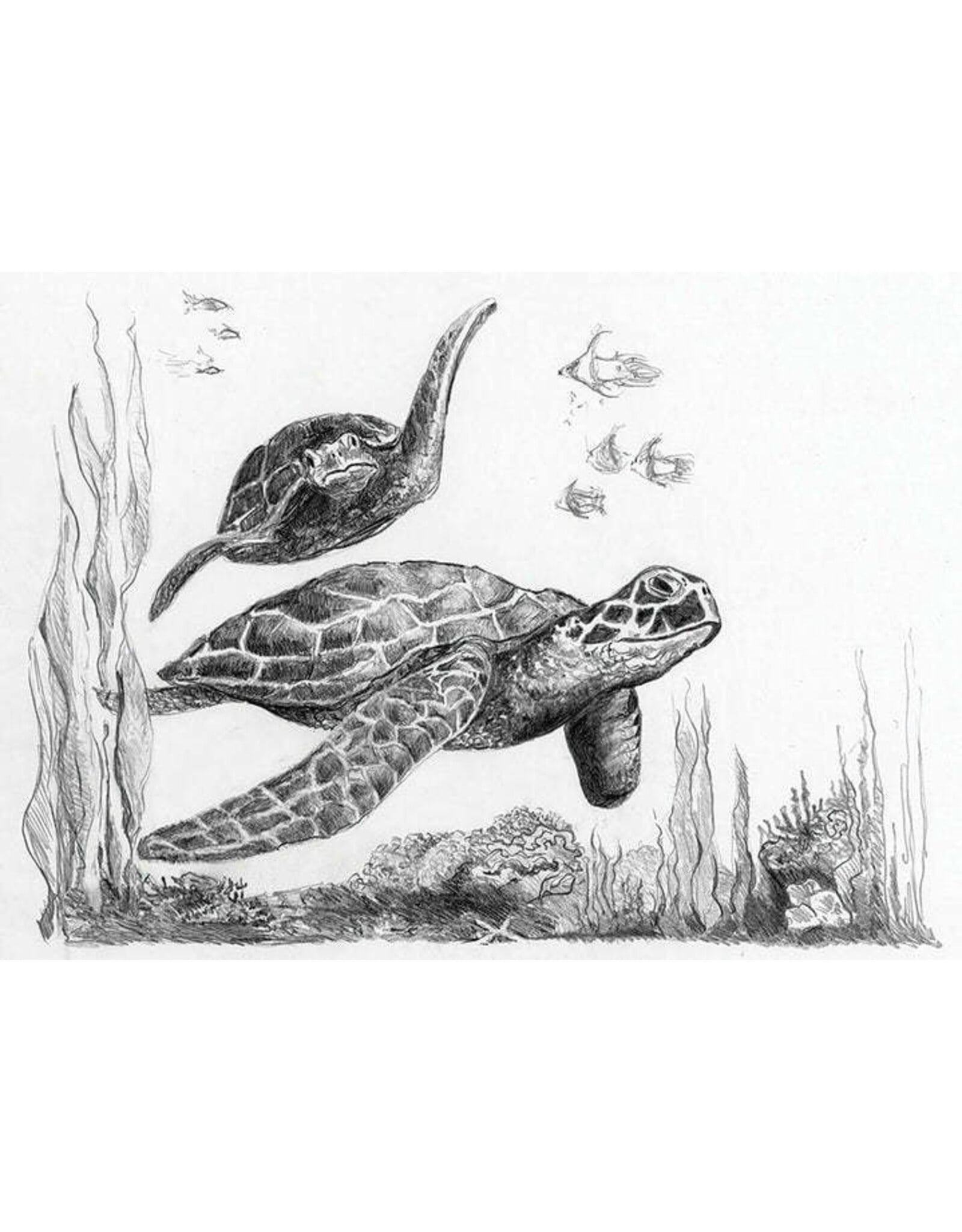 Royal & Langnickel Mini Sketching Sea Turtles