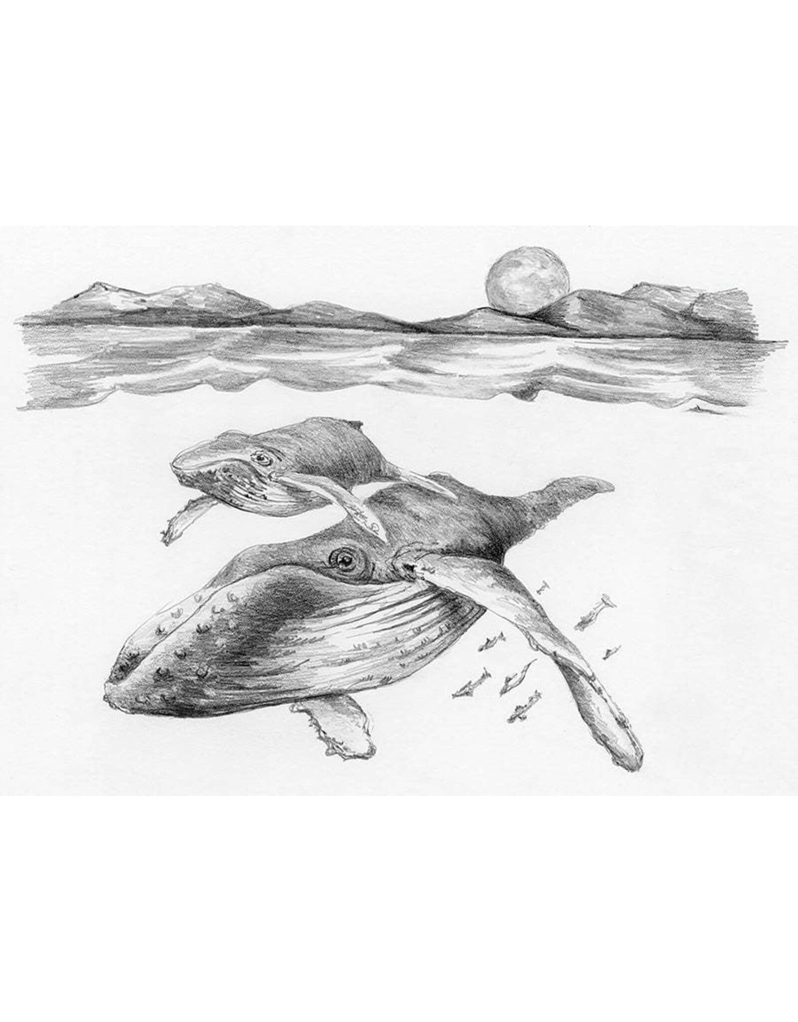 Royal & Langnickel Mini Sketching Whales