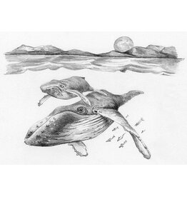 Royal & Langnickel Mini Sketching Whales
