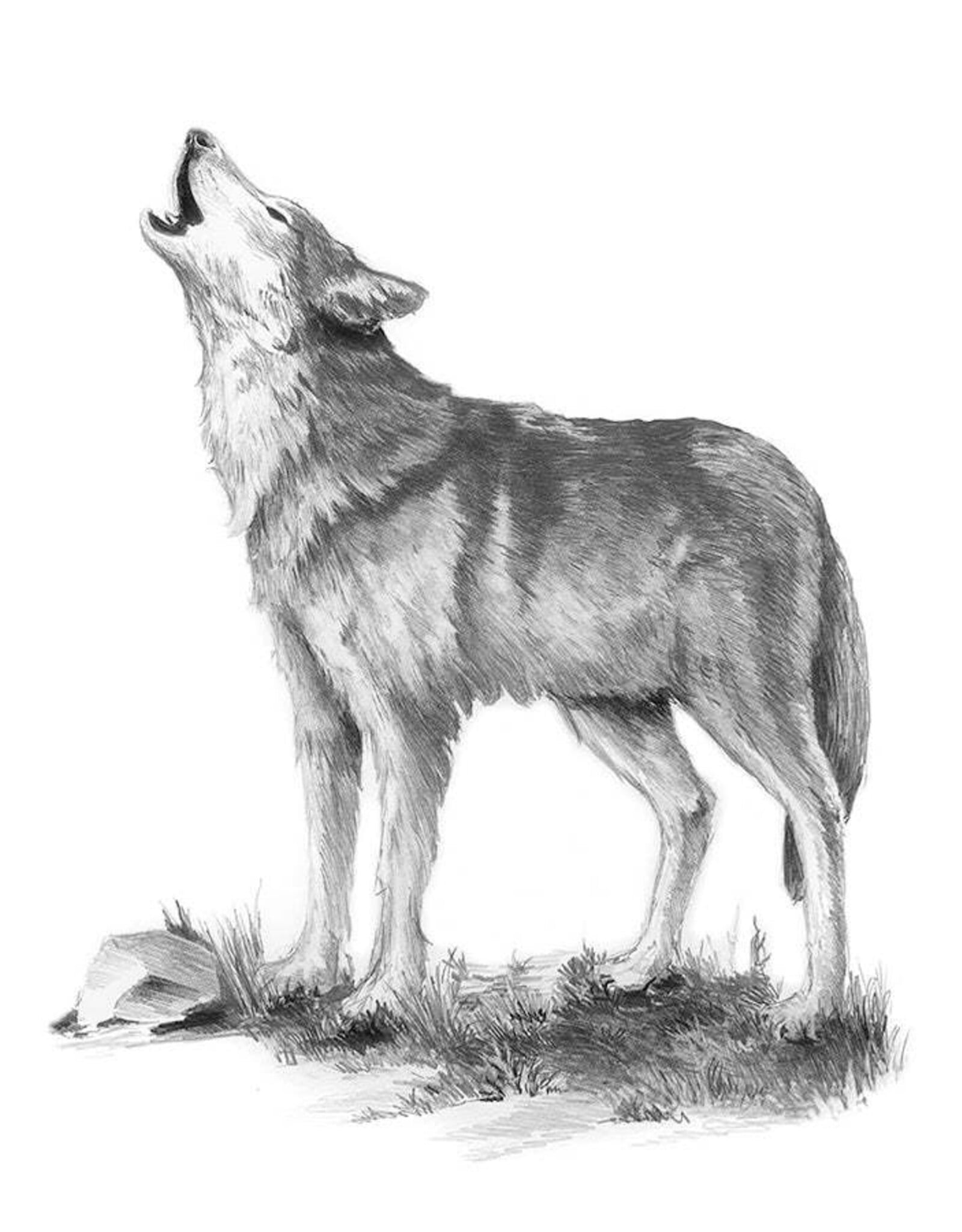 Royal & Langnickel Mini Sketching Howl