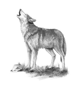Royal & Langnickel Mini Sketching Howl