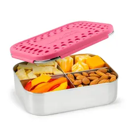 LunchBots Lunchbots Medium Quad Bento Box Pink Lid
