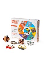 Recent Toys Brain Puzzle Set Of 6