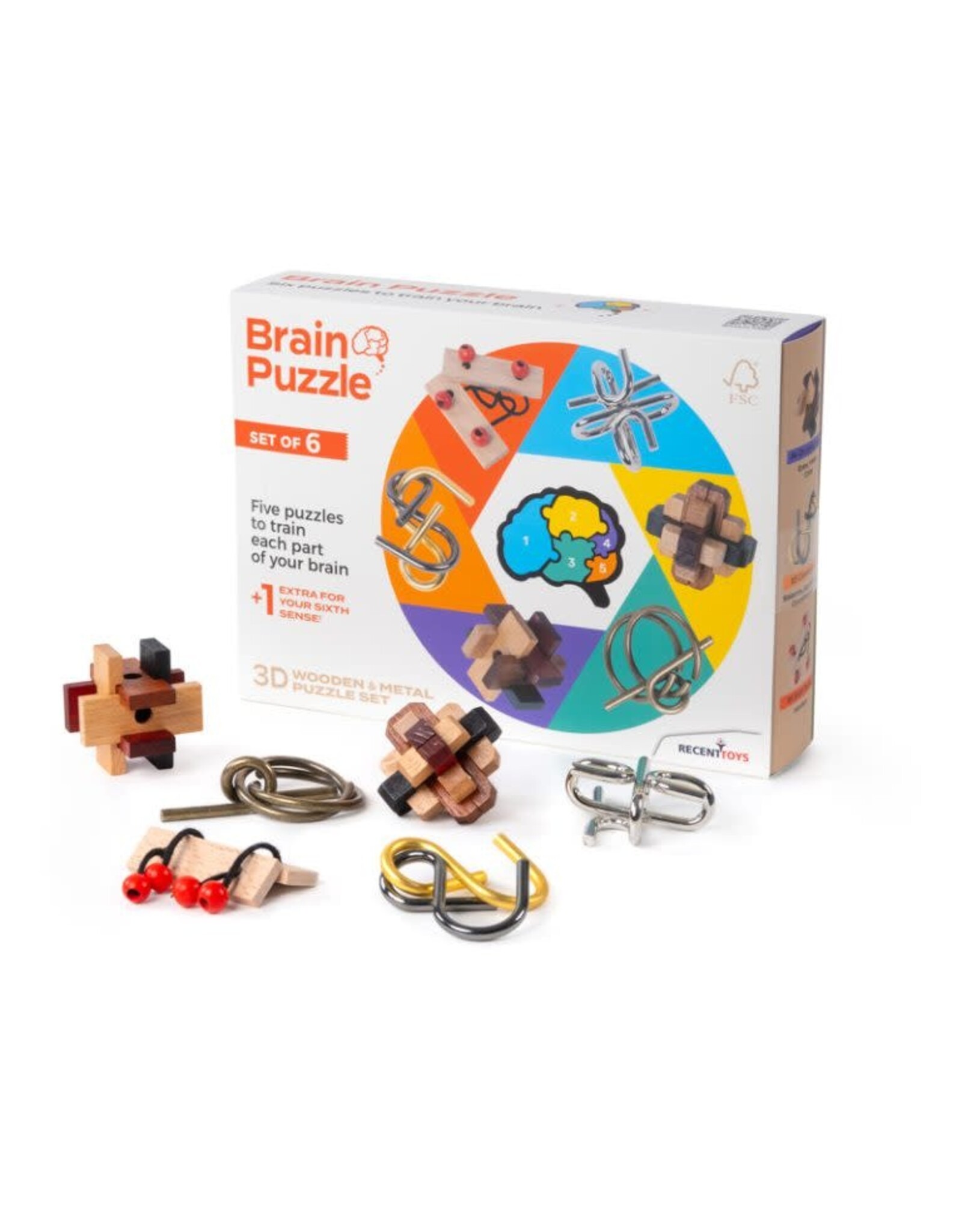 Recent Toys Brain Puzzle Set Of 6