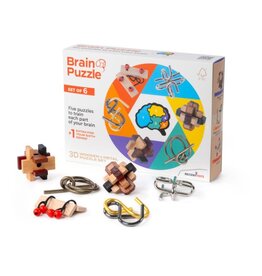 Recent Toys Brain Puzzle Set Of 6