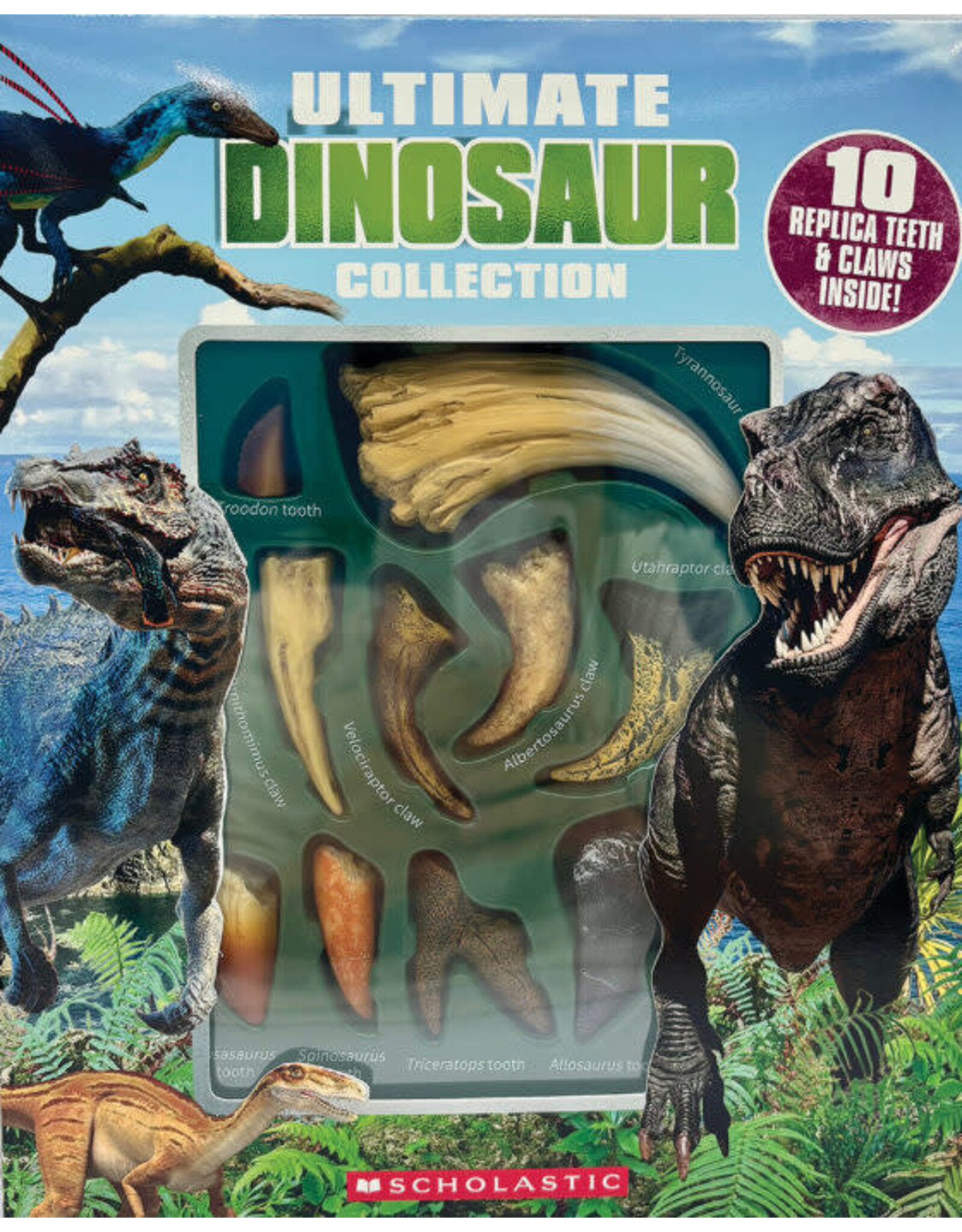 Scholastic Ultimate Dinosaur Tooth & Claw Collection: With 10 Replica Teeth & Claws!