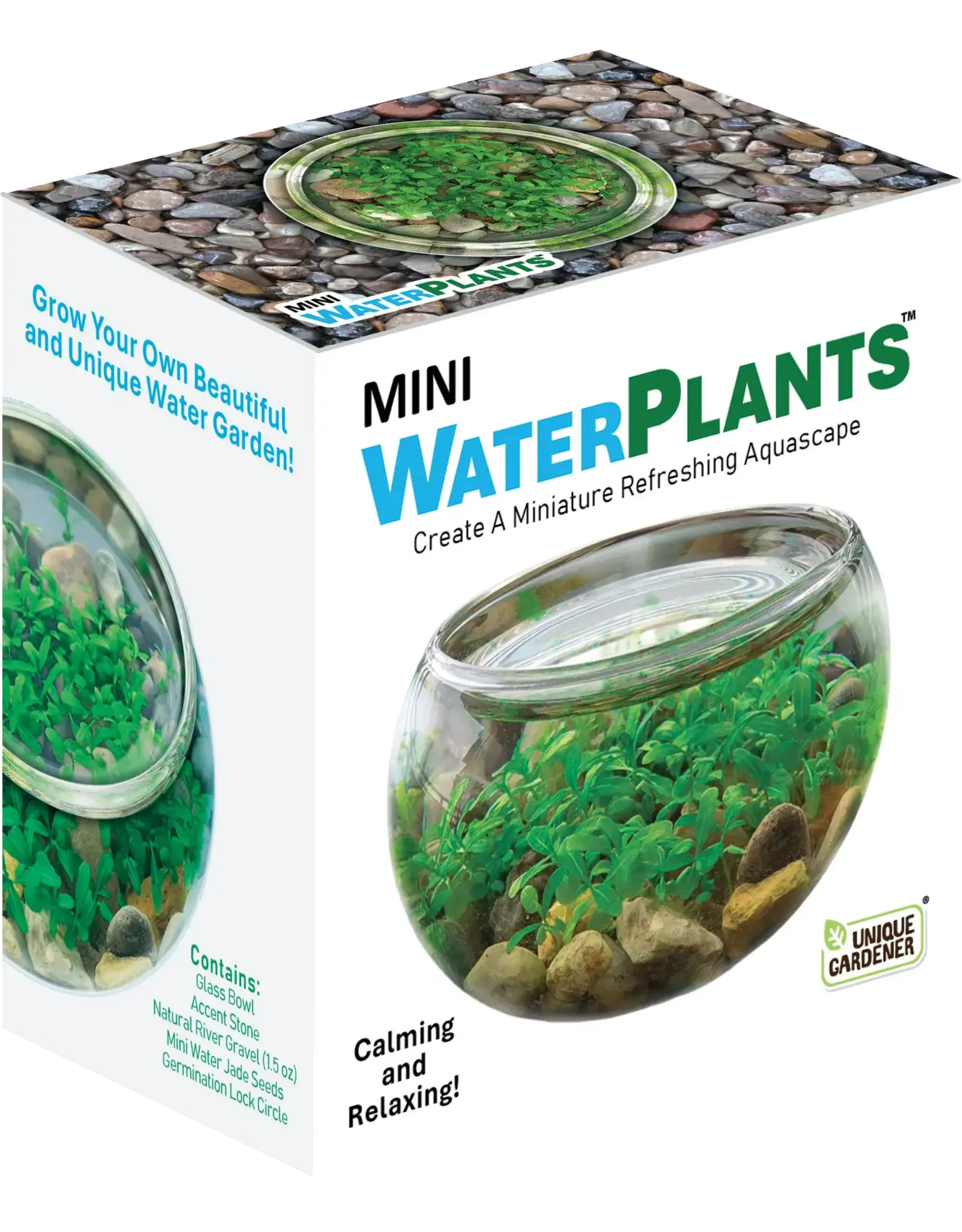 Silver Circle Products Mini WaterPlants Create A Miniature Aquascape