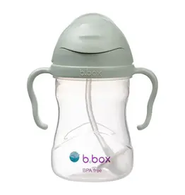 Bbox Sippy Straw Cup Sage