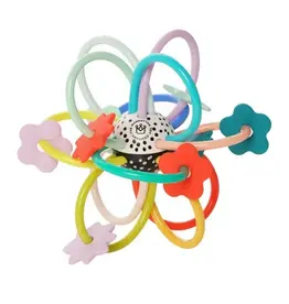 Sassy Baby Loop D' Loop