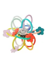 Sassy Baby Loop d'Loop