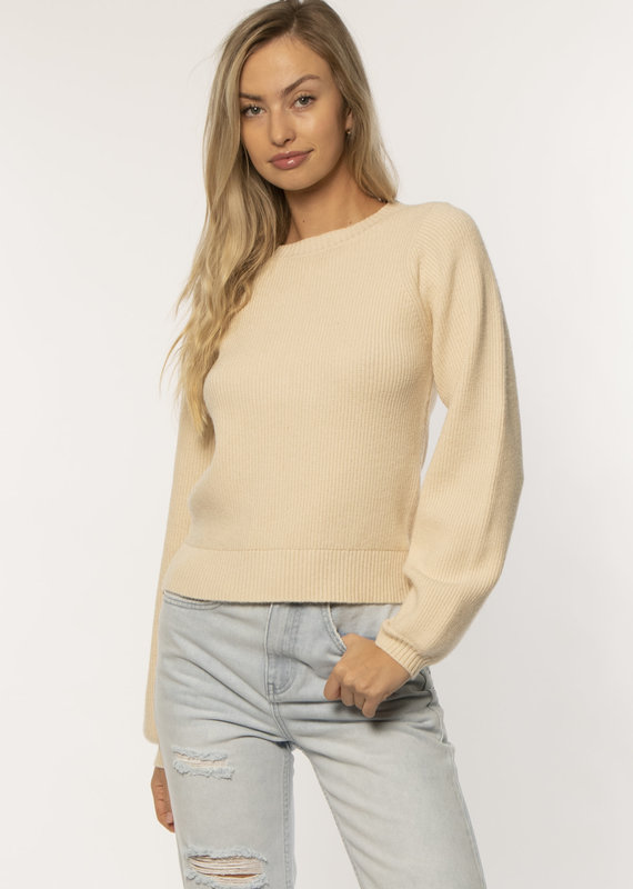 Amuse Society Lulu Sweater