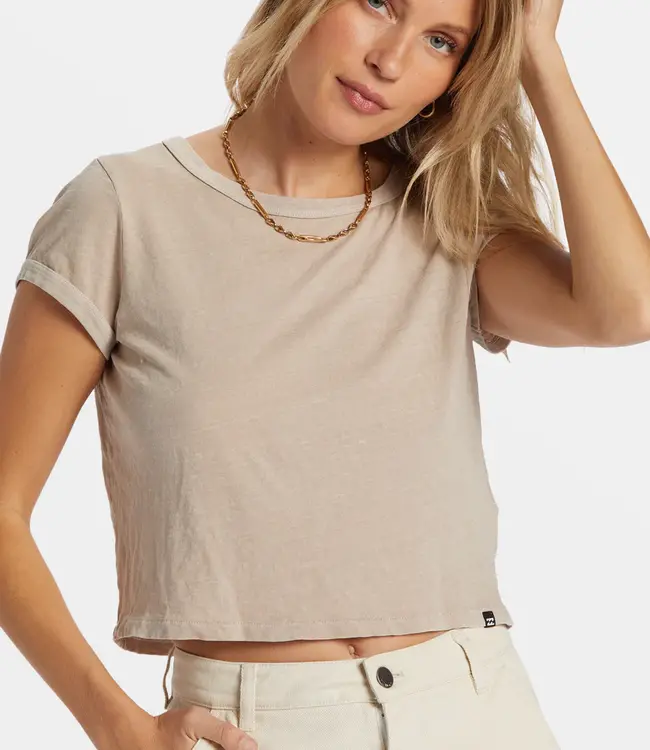 Billabong Daily SS Tee, Cobblestone