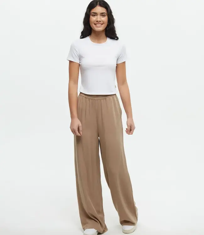 Tentree Kaslo Pant, Khaki