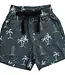 Shorts, Navy Surfer
